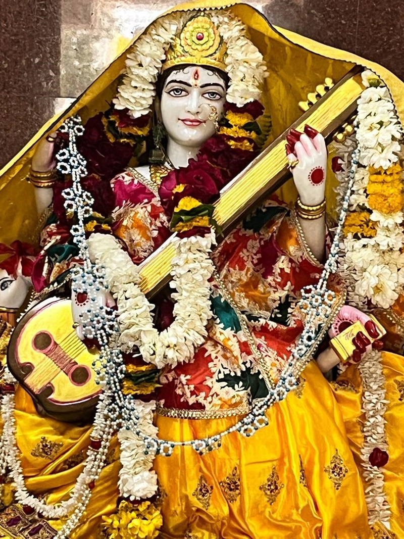 naidunia_image